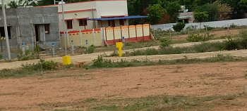 DIRECT RESALE PLOT NEARBY PANJAPUR BUS STAND