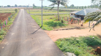 PLOTS FOR SALE WITH LOW BUDGET @ ARIYAVOOR OTHAKADAI