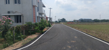 Residential Plot for Sale in Allithurai, Tiruchirappalli (1000 Sq.ft.)