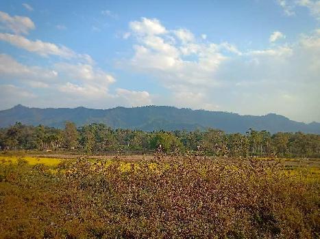 250000 Sq.ft. Agricultural/Farm Land For Sale In Thahekhu, Dimapur