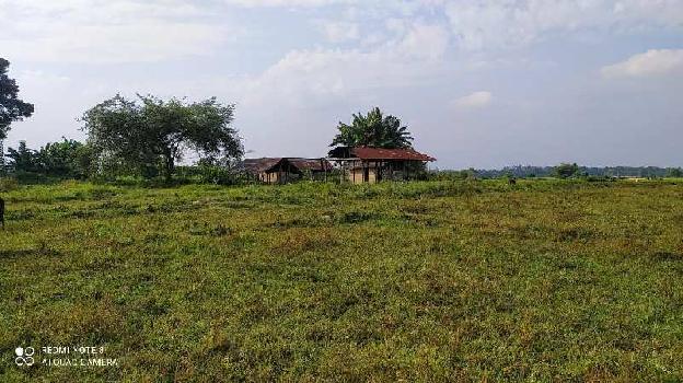 692100 Sq.ft. Agricultural/Farm Land For Sale In Kuhuboto, Dimapur