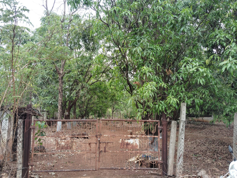 11 Acre Agricultural/Farm Land For Sale In Saralgaon, Thane