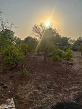 Agricultural/Farm Land for Sale in Saralgaon, Thane (2.5 Acre)