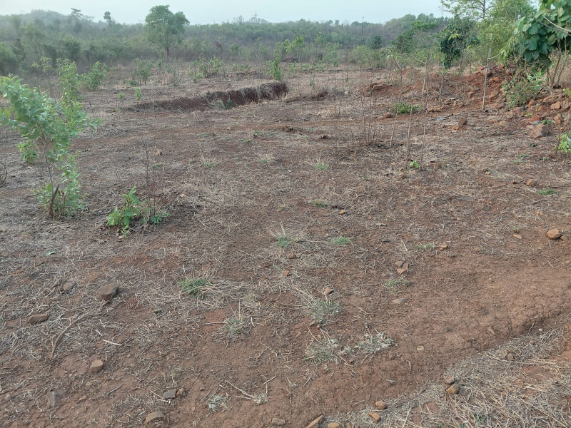 4.5 Acre Agricultural/Farm Land For Sale In Saralgaon, Thane