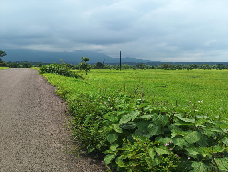 63 Guntha Agricultural/Farm Land For Sale In Saralgaon, Thane