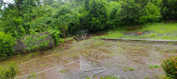 Agricultural/Farm Land for Sale in Murbad, Thane (32 Guntha)