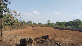 Agricultural/Farm Land for Sale in Murbad, Thane (114 Guntha)