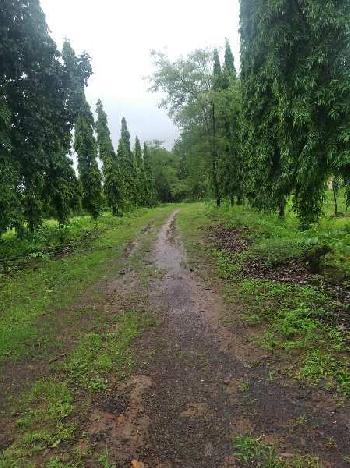 5 Acre Agricultural/Farm Land for Sale in Murbad, Thane