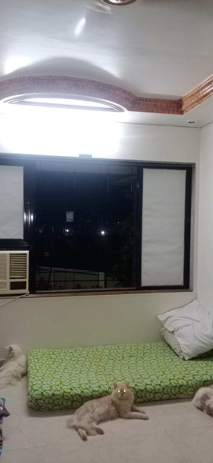1 BHK Furnished on Rent in Lokhandwala