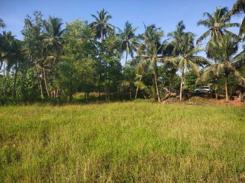 46 Cent Residential Plot for Sale in Amalapuram, East Godavari