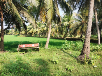 Property for sale in Amalapuram, East Godavari