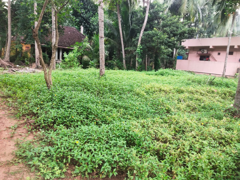 13 Cent Residential Plot for Sale in Amalapuram, East Godavari