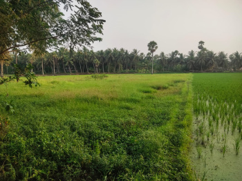 Property for sale in Razole, East Godavari