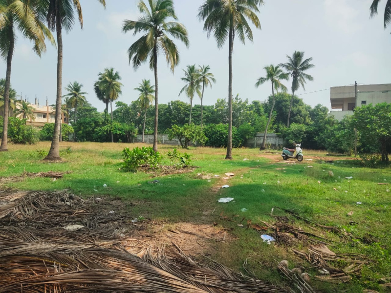 Coconut Garden sale 2 Acre near Amalapuram Town