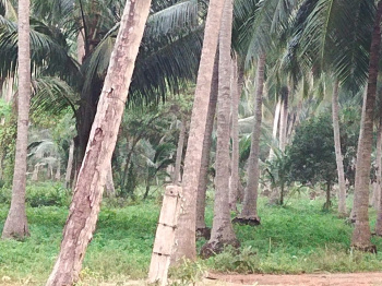 Property for sale in Mummidivaram, East Godavari