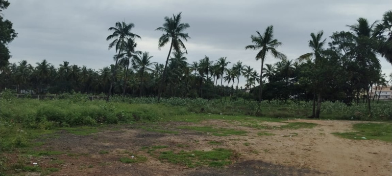 6 Cent Residential Plot For Sale In Amalapuram, East Godavari