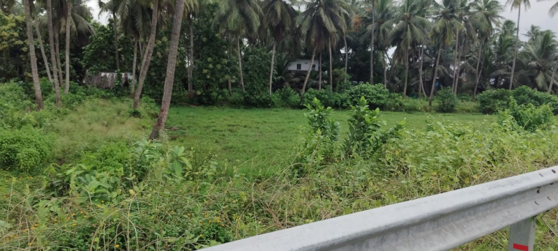 80 Cent Residential Plot For Sale In Amalapuram, East Godavari