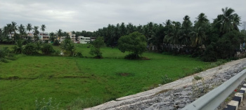 1.62 Acre Residential Plot for Sale in Amalapuram, East Godavari