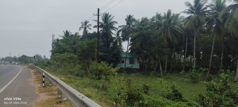 Open Coconut Land Sale 55 Cents With NH 216 Highway Road Facing