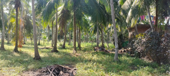 Property for sale in Amalapuram, East Godavari