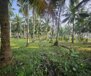 Property for sale in Mummidivaram, East Godavari