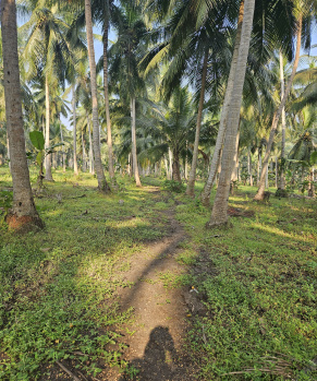 Property for sale in Mummidivaram, East Godavari