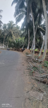 250 sft road facing open coconut filed land sale in Pasuvullanka