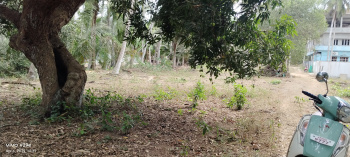 39 Cents Coconut Land sale in Viseswarayapuram