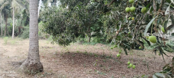 Property for sale in Razole, East Godavari