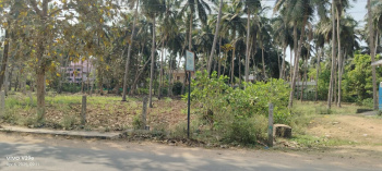 Highway facing 30 Cents coconut filed sale