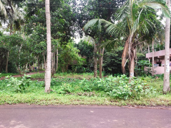 Road facing 11 Cents Commerical Land Sale in Mahipala Cheruvu