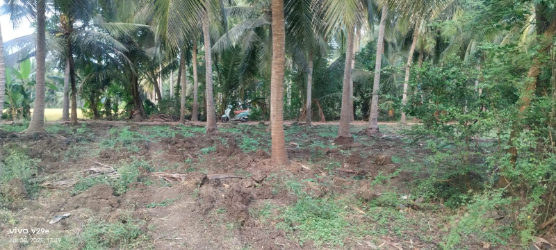 Individual Open land sale 50 cents for Acqua