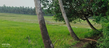 Property for sale in Mummidivaram, East Godavari
