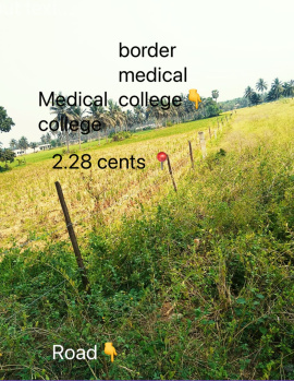 2.28 Acres paddy land sale near Govt Medical College