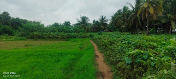 Property for sale in Kothapeta, East Godavari