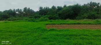 Property for sale in Kothapeta, East Godavari