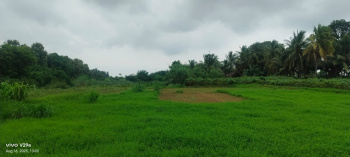 1.80 Acres Agriculture land in Kedaralanka