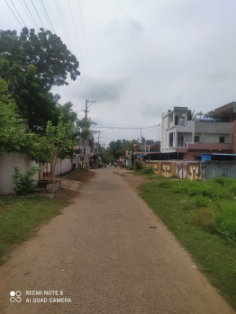 34 Cents Coconut Land sale in SAKURRU, INDUPALLI