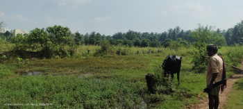 East facing Residentials land sale near Collector office