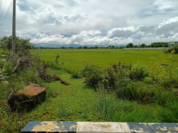 1.63 Acres paddy land sale in Thada