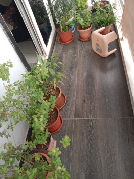 Property for sale in Madhura Nagar, Kakinada