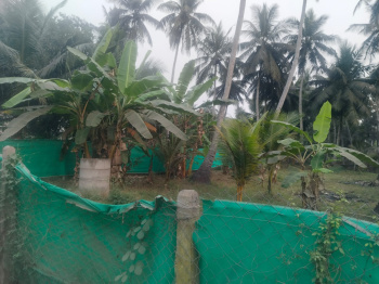 43 Feet Road facing & 108 Depth  Main Raod facing open land sale