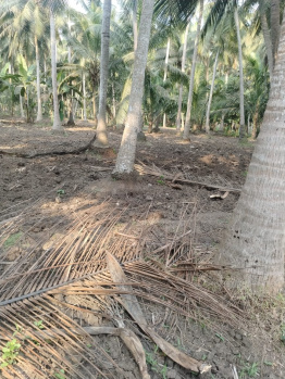 1 Acre Coconut Garden sale in Tottaramudi Village