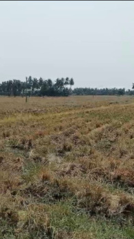 Property for sale in Atreyapuram, East Godavari