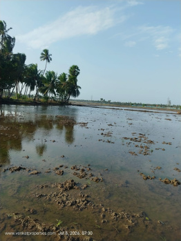 2.16 Acres Paddy Land sale in Velevalapalli (Ainavelli)