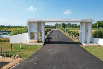 Residential Plot for Sale in Turangi, Kakinada (165 Sq.ft.)