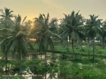 Property for sale in Bodasakurru, East Godavari