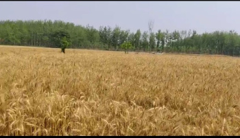 Property for sale in Garhmukteshwar, Hapur