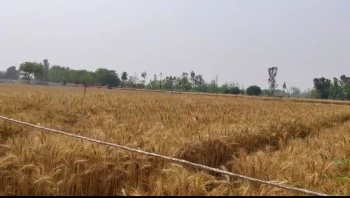 Property for sale in Garhmukteshwar, Hapur