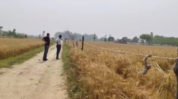 Property for sale in Garhmukteshwar, Hapur